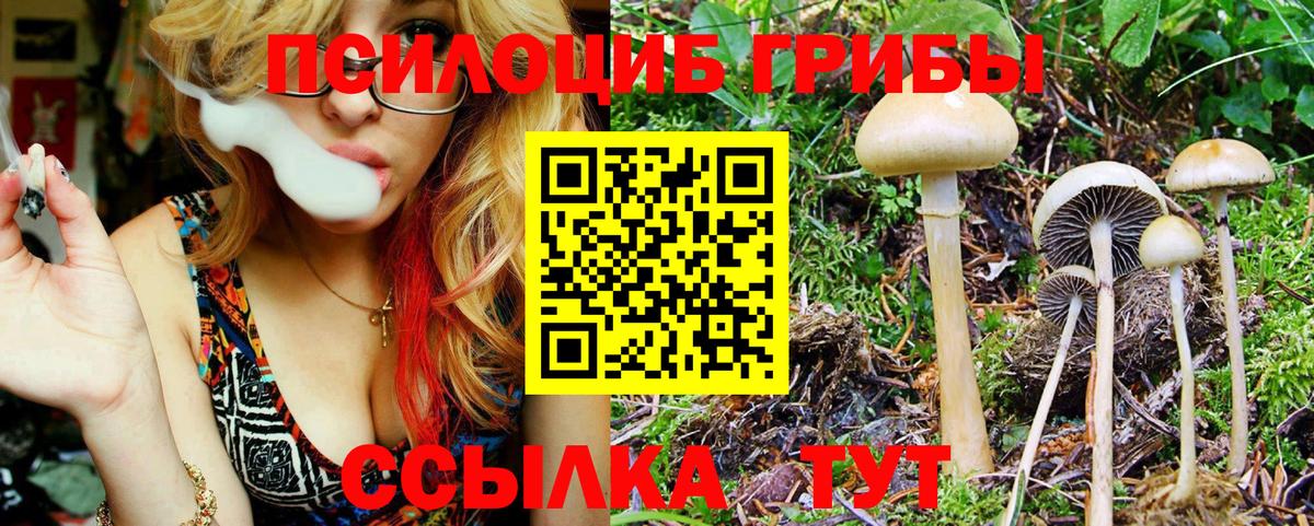 Еманжелинск  Псилоцибиновые грибы MAGIC MUSHROOMS  Галлюциногенные грибы ЛСД  Вход с VPN 